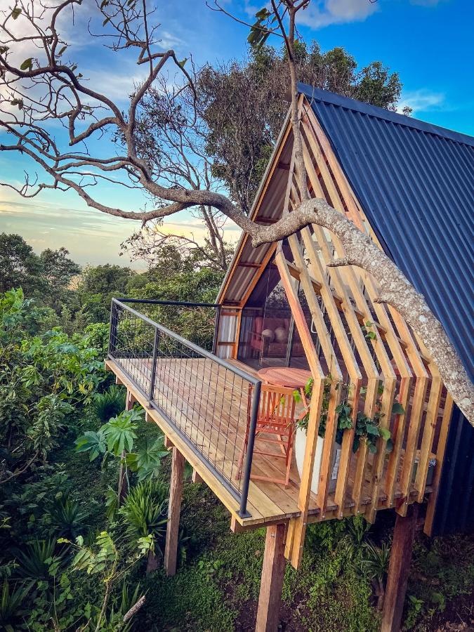 Casa 1800 Los Naranjos Boutique Hotel 외부 사진