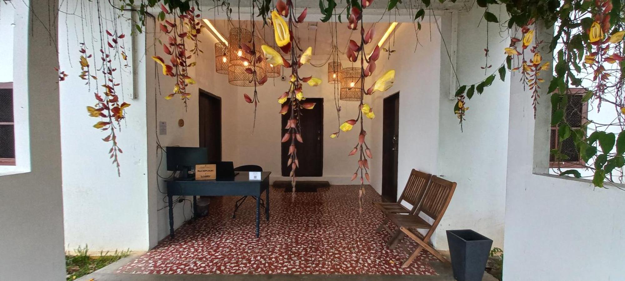 Casa 1800 Los Naranjos Boutique Hotel 외부 사진